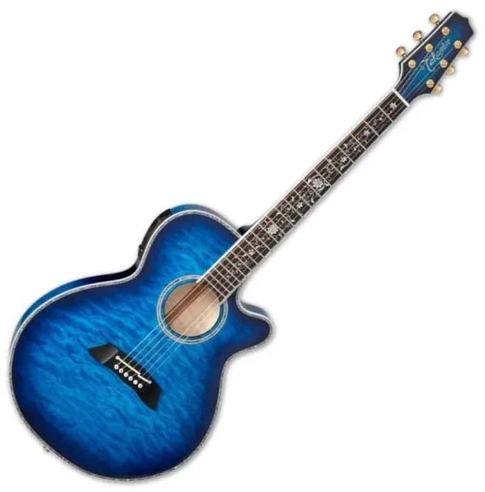 Takamine TSP100 Guitare Jumbo acoustique-électrique