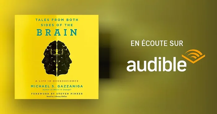 Tales from Both Sides of the Brain