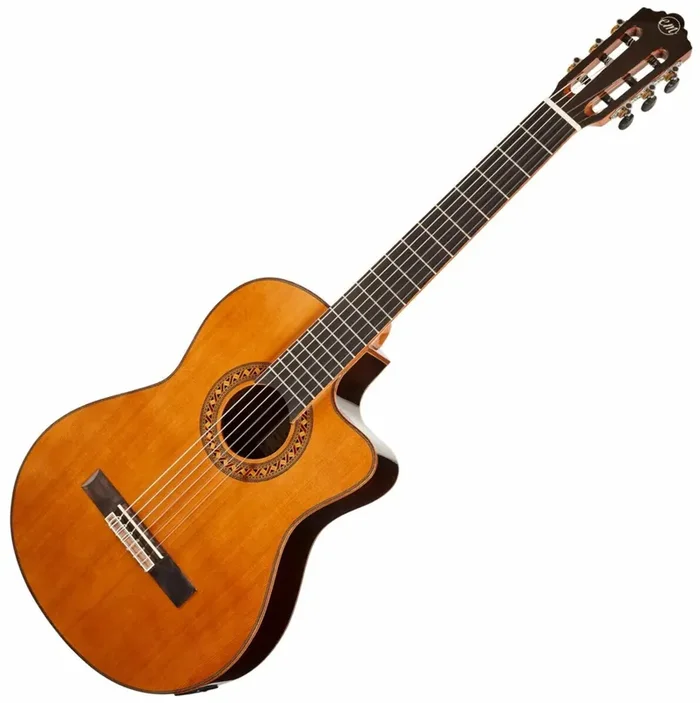 Tanglewood EM DC 5 4/4 Natural Guitares classique avec préampli