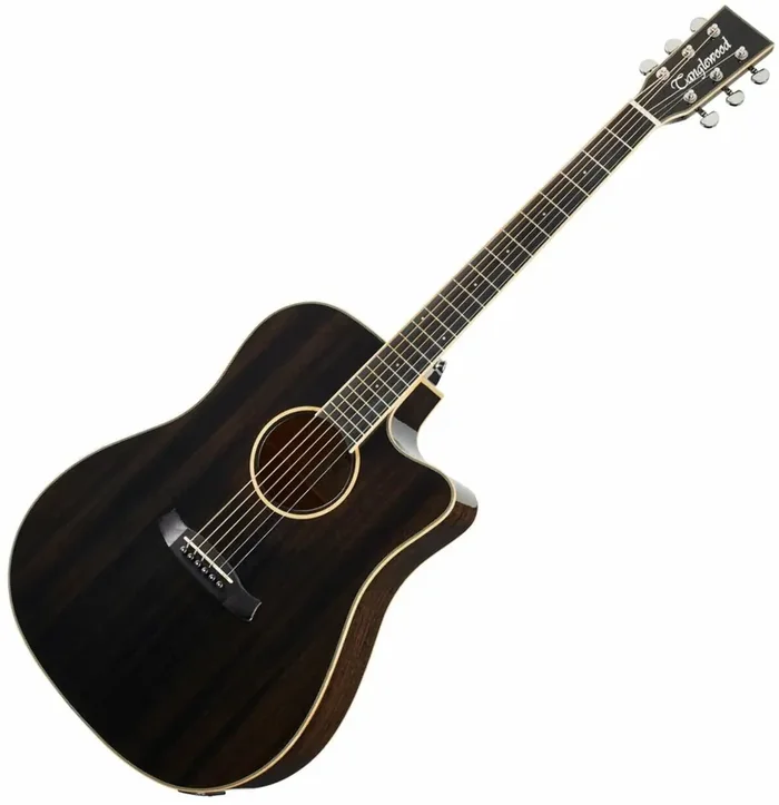 Tanglewood TW5 E BS Black Shadow Gloss Guitare Dreadnought acoustique-électrique