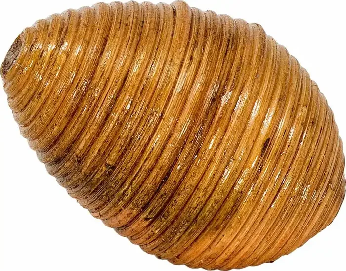 Terre Egg Rattan Shaker