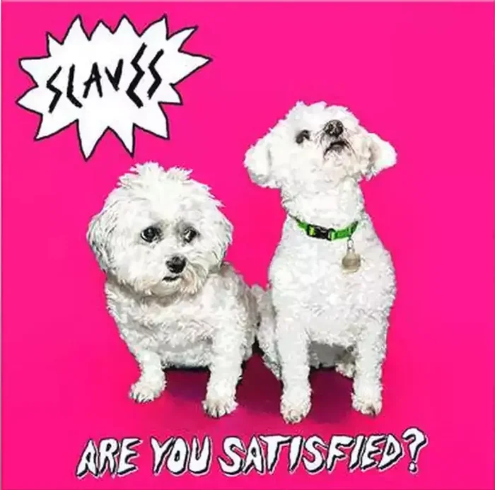 The Slaves – Are You Satisfied? (LP)