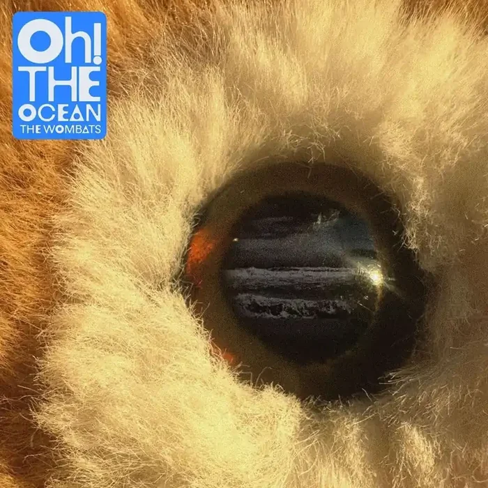 The Wombats – Oh The Ocean (Indie Exclusive) (Clear Coloured) (LP)