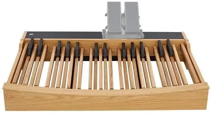 Viscount MIDI Bass Pedal 30-note Straight Pédalier MIDI