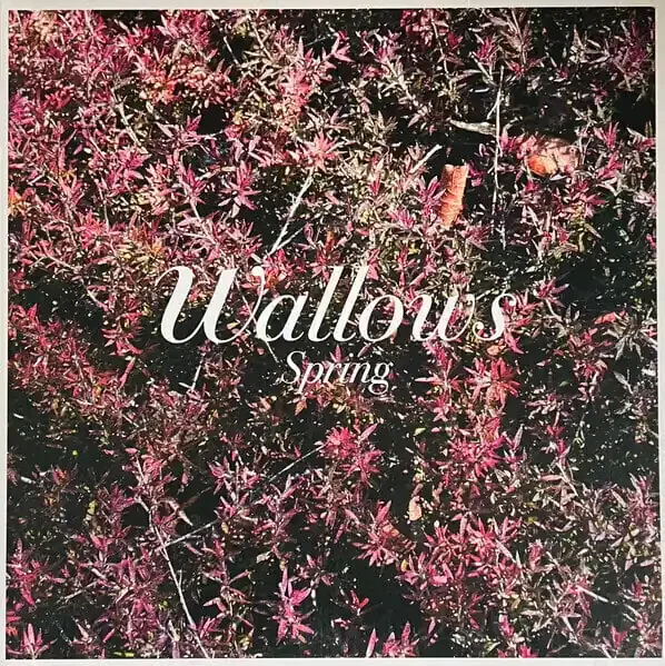 Wallows – Spring (Green & Pink Coloured) (12″ Vinyl)