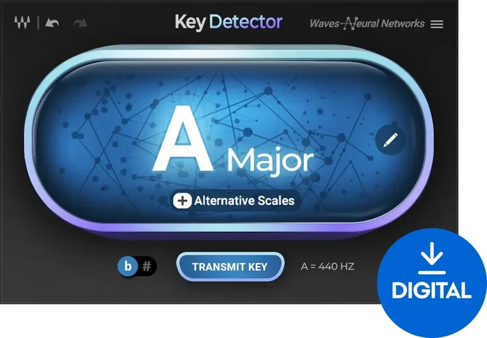 Waves Key Detector (Produit numérique)