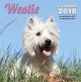 WESTIE (2018)