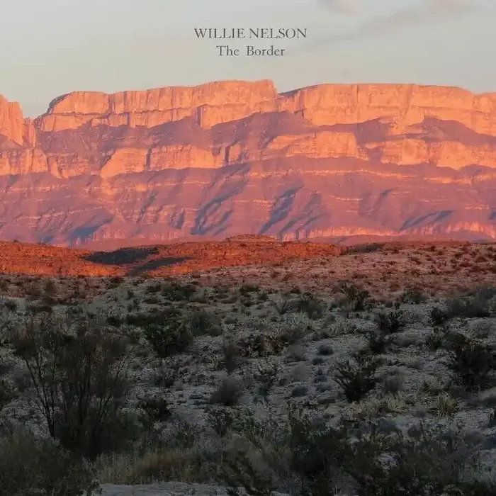 Willie Nelson – The Border (LP)