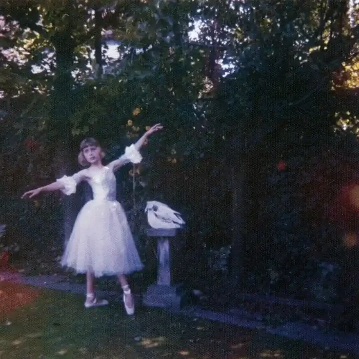 Wolf Alice – Visions Of A Life (2 LP)