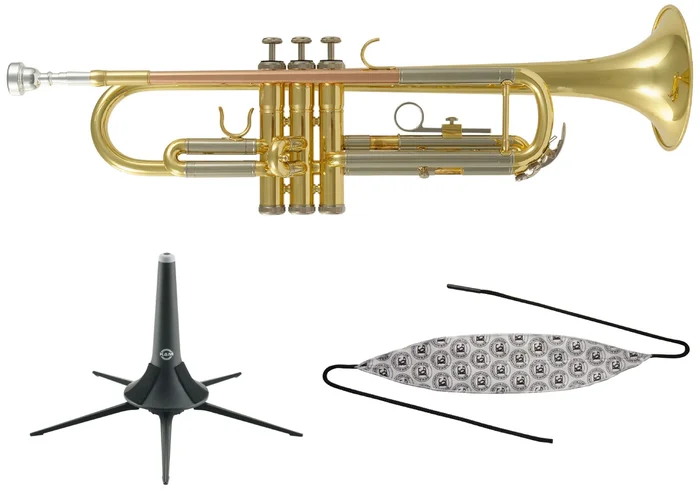 Woodbrass Pack WTP200 – Si B Verni