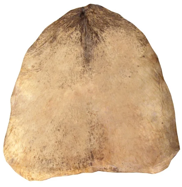 YOMAN Peau De Chevre
