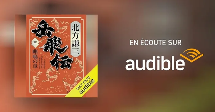 岳飛伝　三　嘶鳴の章